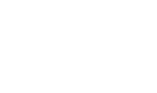 porsche icon